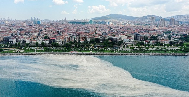 Marmara Denizi'ndeki Müsilaj Sorununa Acil Çözüm İçin Bilim İnsanları YÖK'te Toplanacak