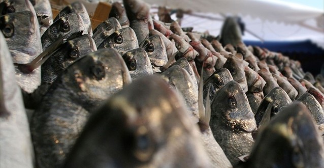 On Balıktan Biri Yurt Dışına Uçarak Gidiyor