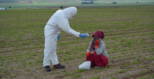 Sağlık Bakanlığından Mevsimlik Tarım İşçilerine Yönelik Kovid-19 Tedbirleri