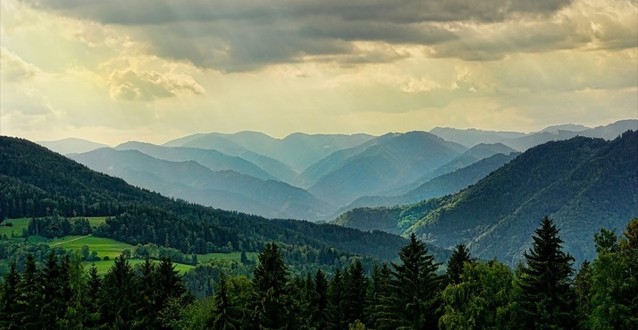 Yeni Harita Orman Kayıplarının Nedenini Ortaya Koyuyor